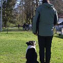 IMG 0287