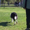 IMG 0289