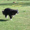IMG 0319