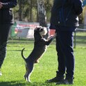 IMG 0335