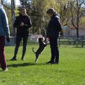 IMG 0336