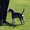 IMG 0339