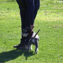 IMG 0346