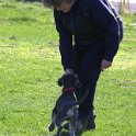 IMG 0347