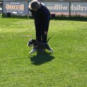 IMG 0353
