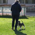 IMG 0368