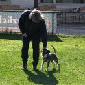 IMG 0372