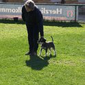 IMG 0377