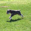 IMG 0378