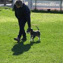 IMG 0394