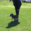 IMG 0397