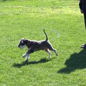 IMG 0398