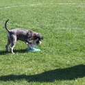 IMG 0411