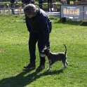 IMG 0413