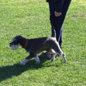 IMG 0419