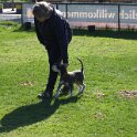 IMG 0427