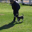 IMG 0429