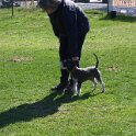IMG 0430