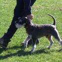IMG 0437