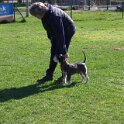 IMG 0438