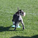 IMG 0443