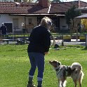 IMG 0447
