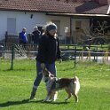 IMG 0449