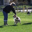 IMG 0452