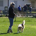 IMG 0459