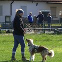 IMG 0460