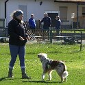IMG 0461