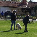 IMG 0462