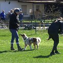 IMG 0463