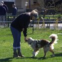 IMG 0464