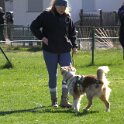 IMG 0471