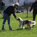 IMG 0473