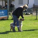 IMG 0475