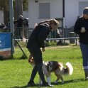 IMG 0478
