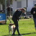 IMG 0479