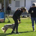 IMG 0483
