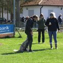 IMG 0484