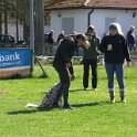 IMG 0485
