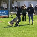IMG 0486