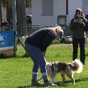 IMG 0492