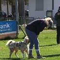 IMG 0493