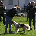 IMG 0499