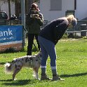 IMG 0502