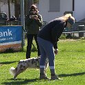 IMG 0503