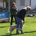 IMG 0504