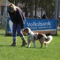 IMG 0517